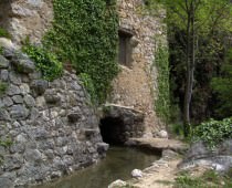 MOLI DE SOTORRES