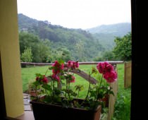 CASA LA LLAVONA