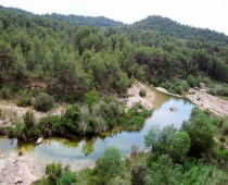LO CORRAL DE LOS BOLITOS