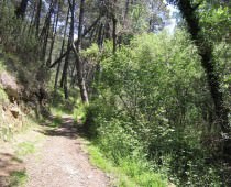 APARTAMENTOS RURALES EL MOLINO