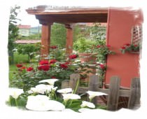 LA CASA DE MAMASITA
