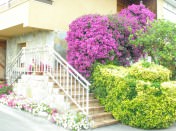 HOSTERIA EL FARO