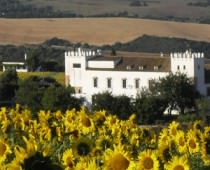 CORTIJO BARRANCO