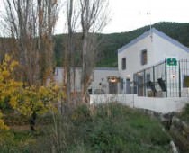 MOLINO DEL CAMINO