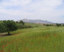 CORTIJO LA ESTRELLA