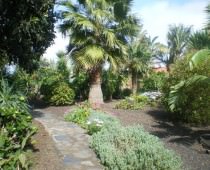 CASA EL ALMENDRO