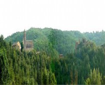 SANT PETRUS MADRONA