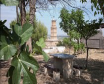 OROGAINDI