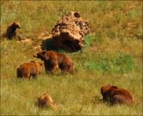 THE NATURE PARK OF CABARCENO
