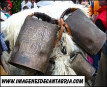 COMARCA DEL BESAYA