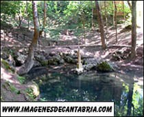 COMARCA DE CAMPOO-LOS VALLES