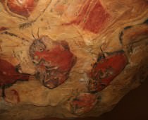 MUSEO Y CUEVA DE ALTAMIRA