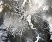 GROTTE LE SOPLAO