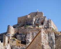 Morella