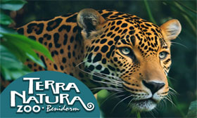 Benidor-2