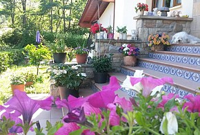 AGROTURISMO IBARRONDO ETXEA