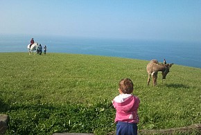 AGROTURISMO SANTA KLARA