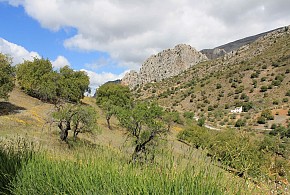 ALOJAMIENTO RURAL EL CHAPARRO