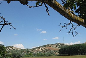 ALOJAMIENTO RURAL LA MOCATEA