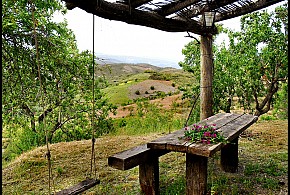 ALQUERÍA DE MORAYMA