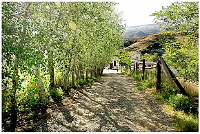 ALQUERÍA DE MORAYMA