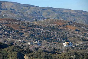 ALQUERÍA DE MORAYMA