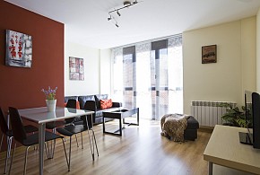 APARTAMENTOS CON ENCANTO SEÑORIO DE HARO