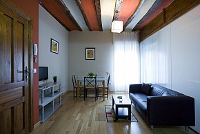 APARTAMENTOS CON ENCANTO SEÑORIO DE HARO