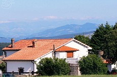 APARTAMENTOS NEL