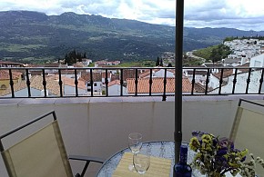 APARTAMENTOS QUERCUS