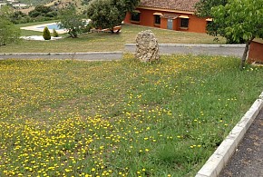 APARTAMENTOS RURALES CEDRO ALTO