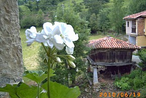 APARTAMENTOS RURALES LA CAVIANA