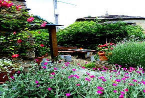 APARTAMENTOS VILLA SEVERINA