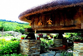 APARTAMENTOS VILLA SEVERINA