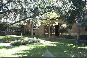 BADARAN DIVINO