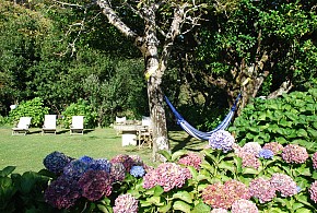 BUDIÑO DE SERRASECA