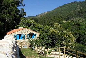 BUDIÑO DE SERRASECA