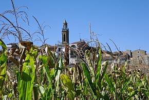CA LA CÈLIA