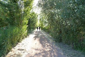CA LA CÈLIA