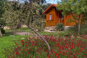 CABAÑAS DEL CORTINO