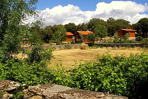 CABAÑAS DEL CORTINO