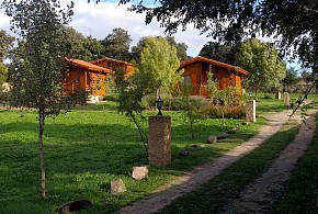 CABAÑAS DEL CORTINO