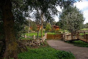 CABAÑAS DEL CORTINO