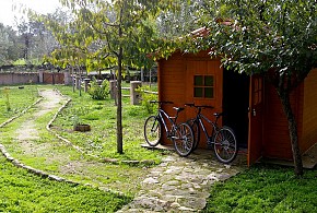 CABAÑAS DEL CORTINO