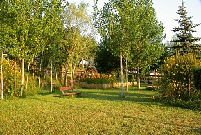 CAMPING EL SOLSONÉS