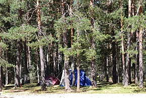 CAMPING OREA