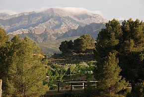 CAMPING TERRA ALTA