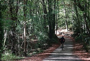 CAN MAU DE SANT FELIU DE PALLEROLS