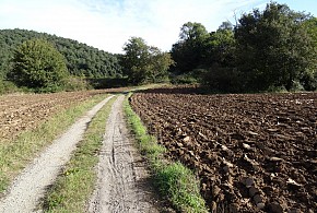 CAN MAU DE SANT FELIU DE PALLEROLS