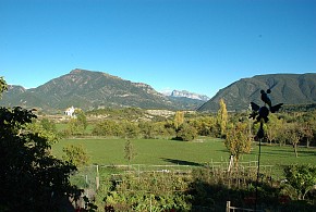CASA ARANA